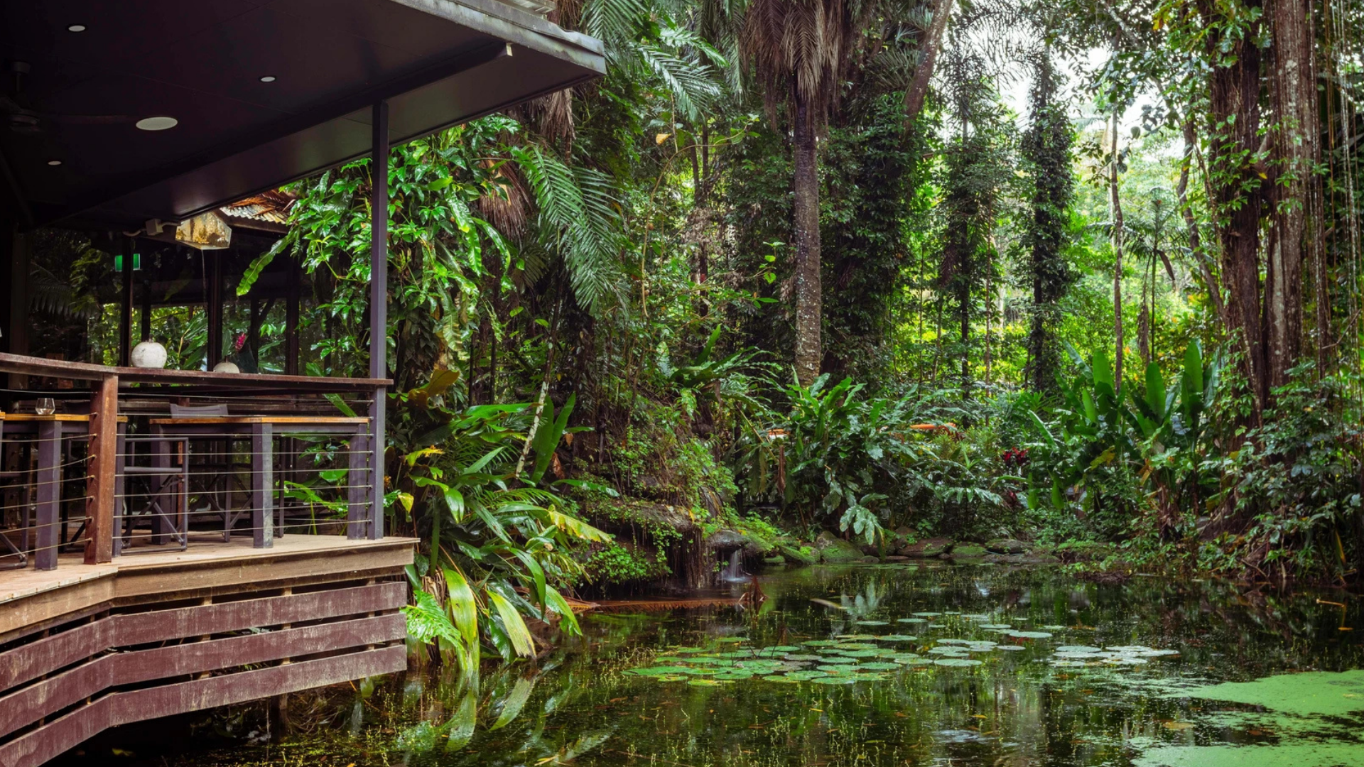 Daintree Eco Lodge 