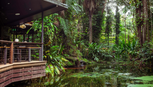 Daintree Eco Lodge 