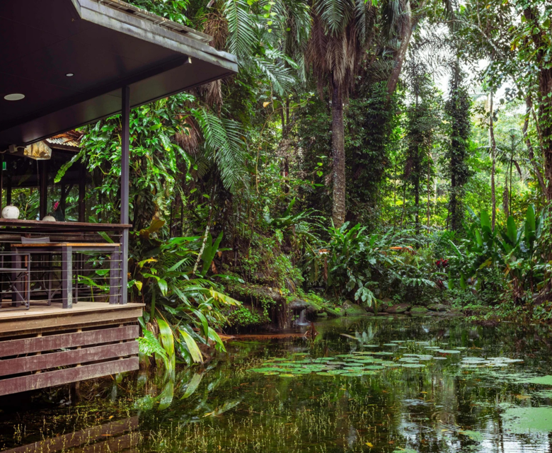 Daintree Eco Lodge 