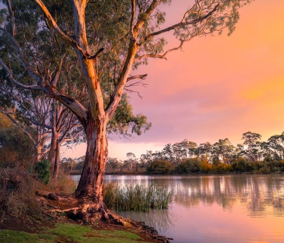 Australia - River and sunset view