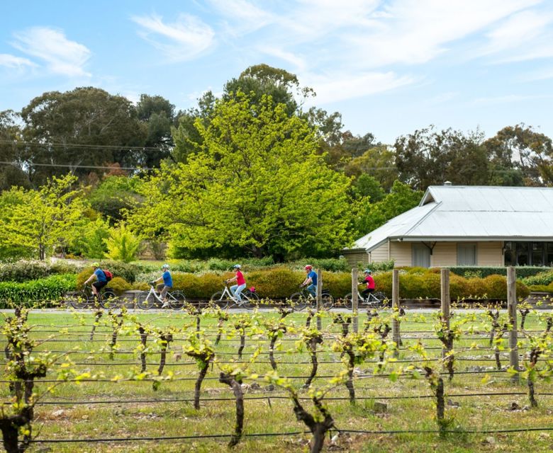 South Australia 8509515 CR Tour De Vines