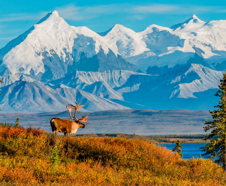 APT & Travelmarvel Tours