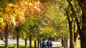 Cycling trail Bright CR Tour De Vines