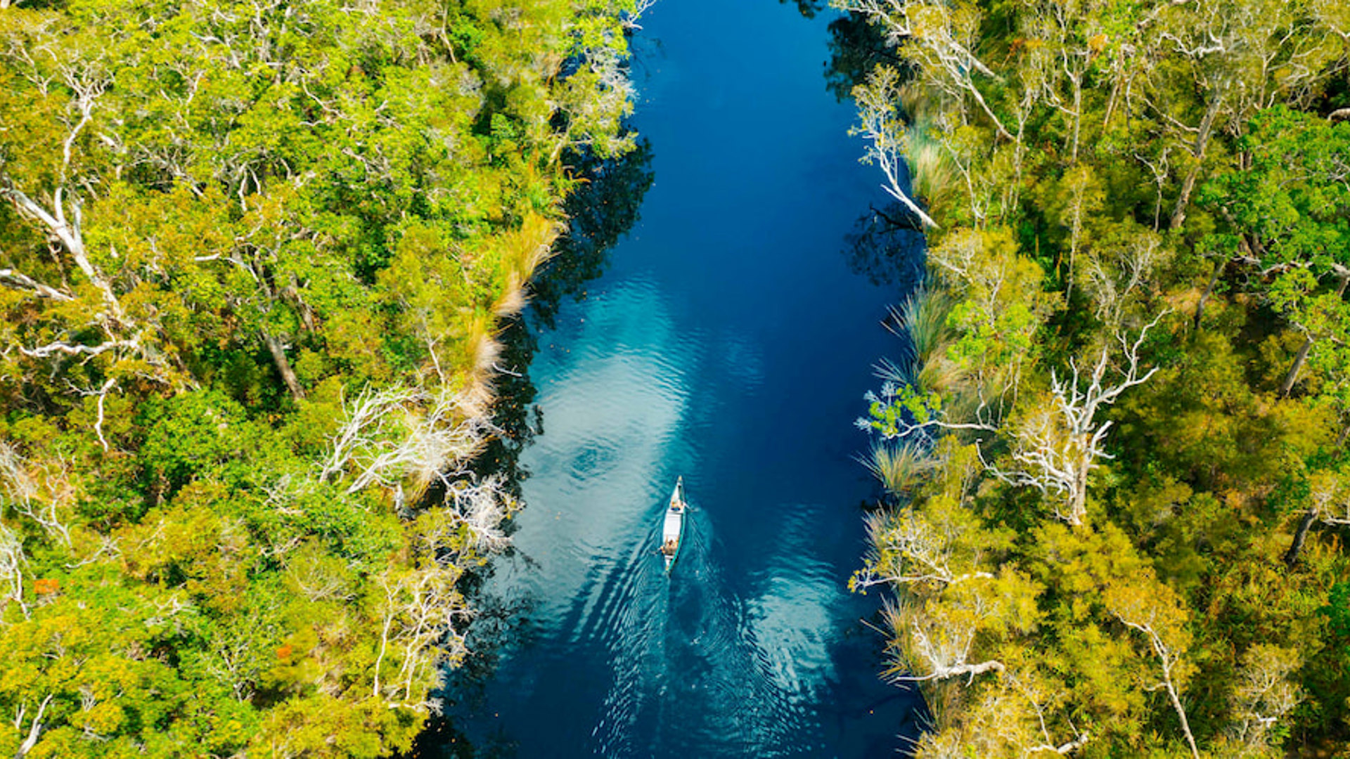 Noosa Everglades - Image credit: Tourism & Events Queensland