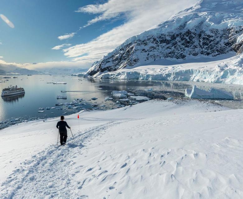Passenger, Neko Harbour, Antarctica, Adrian Wlodarczyk