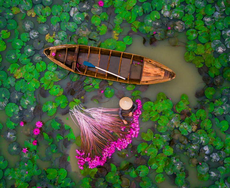 Vietnam Boat Waterlillies