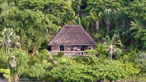 Magical Madagascar - Time Tide Tsara Komba