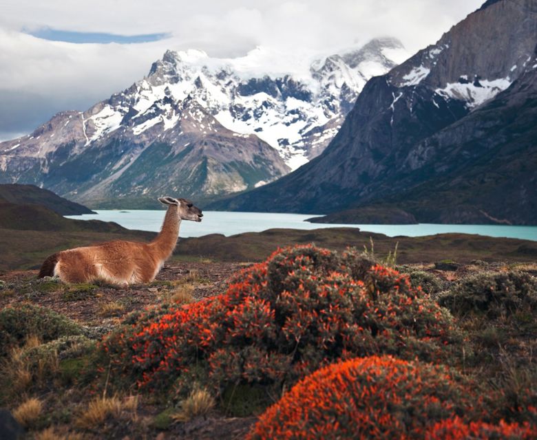 Chile - Patagonia-Torres Del Paine National Park with Ad World