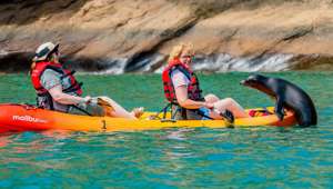 Kayakers, San Cristobal