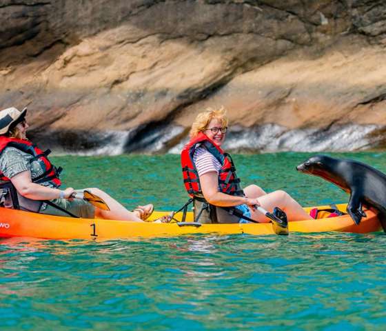 Kayakers and seal at San Cristobel