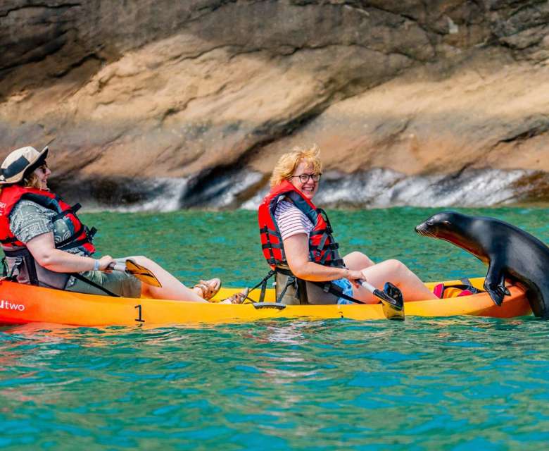 Kayakers and seal at San Cristobel