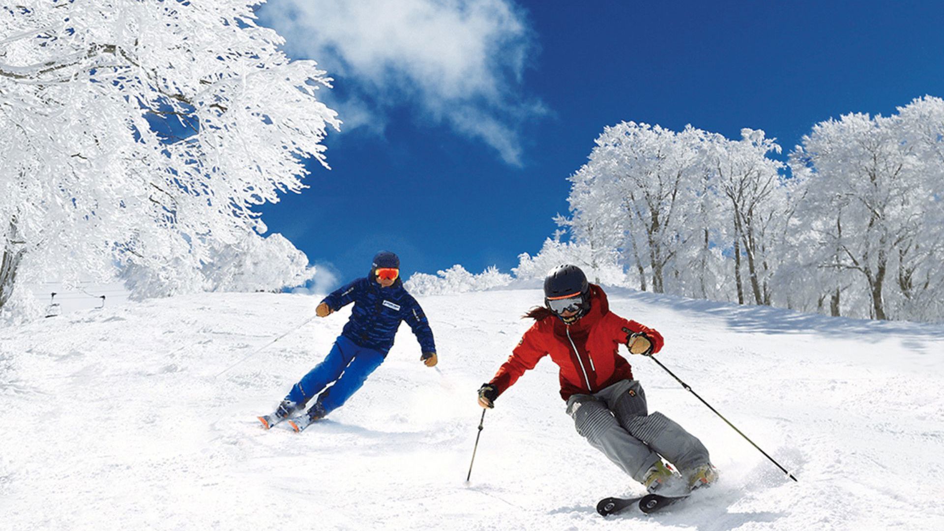 Nozawa Onsen Travel & Co