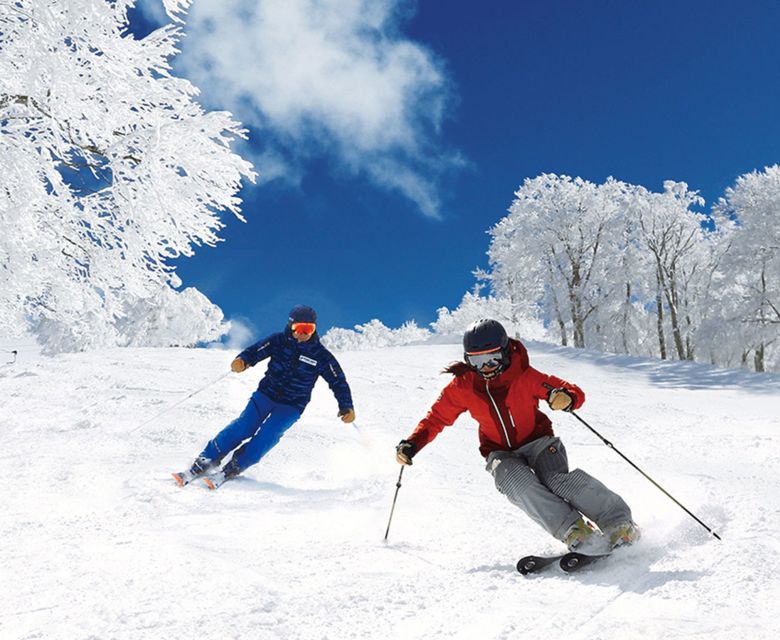 Nozawa Onsen Travel & Co