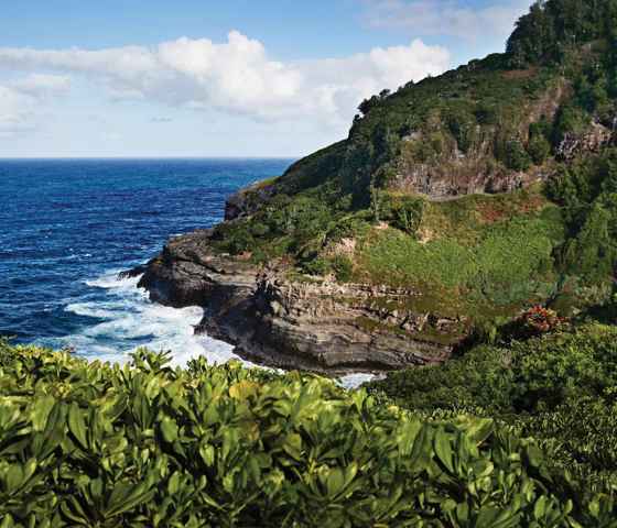 Scout Princess Hawaii