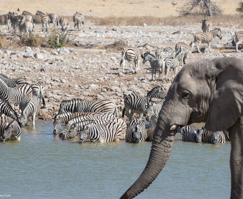 Sunway Namibia Etosha Okaukeujo. Image credit: Bruce Taylor