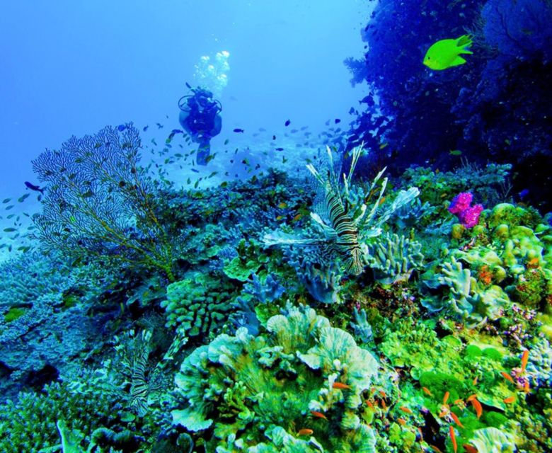 Volivoli Beach Resort - diving