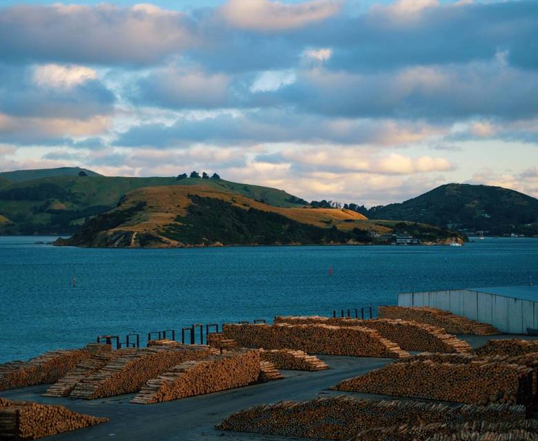  Dunedin Sailaway