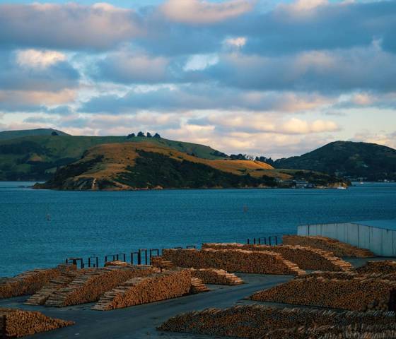 Dunedin Sailaway