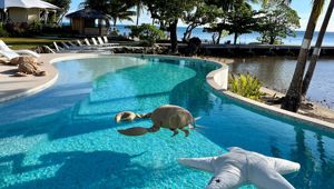 Apatoa Beach & Garden Villa - pool