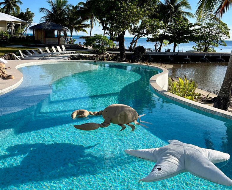 Apatoa Beach & Garden Villa - pool