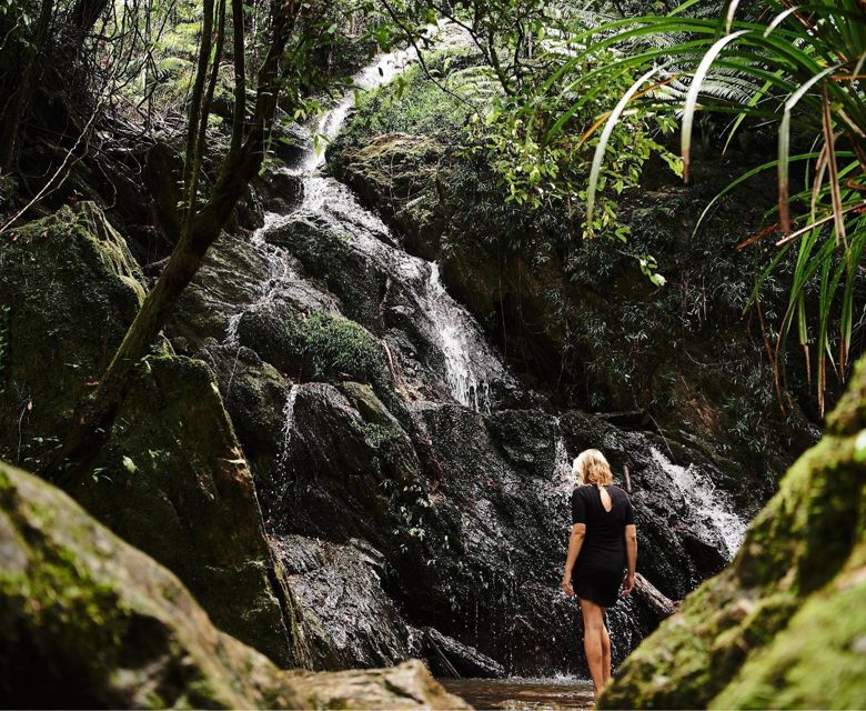 Daintree Eco Lodge - waterfall