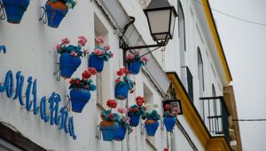 Cadiz  © Ambassador Cruise Line 