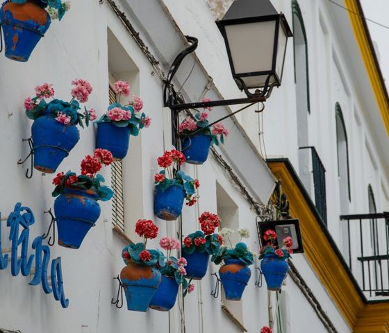 Cadiz  © Ambassador Cruise Line 