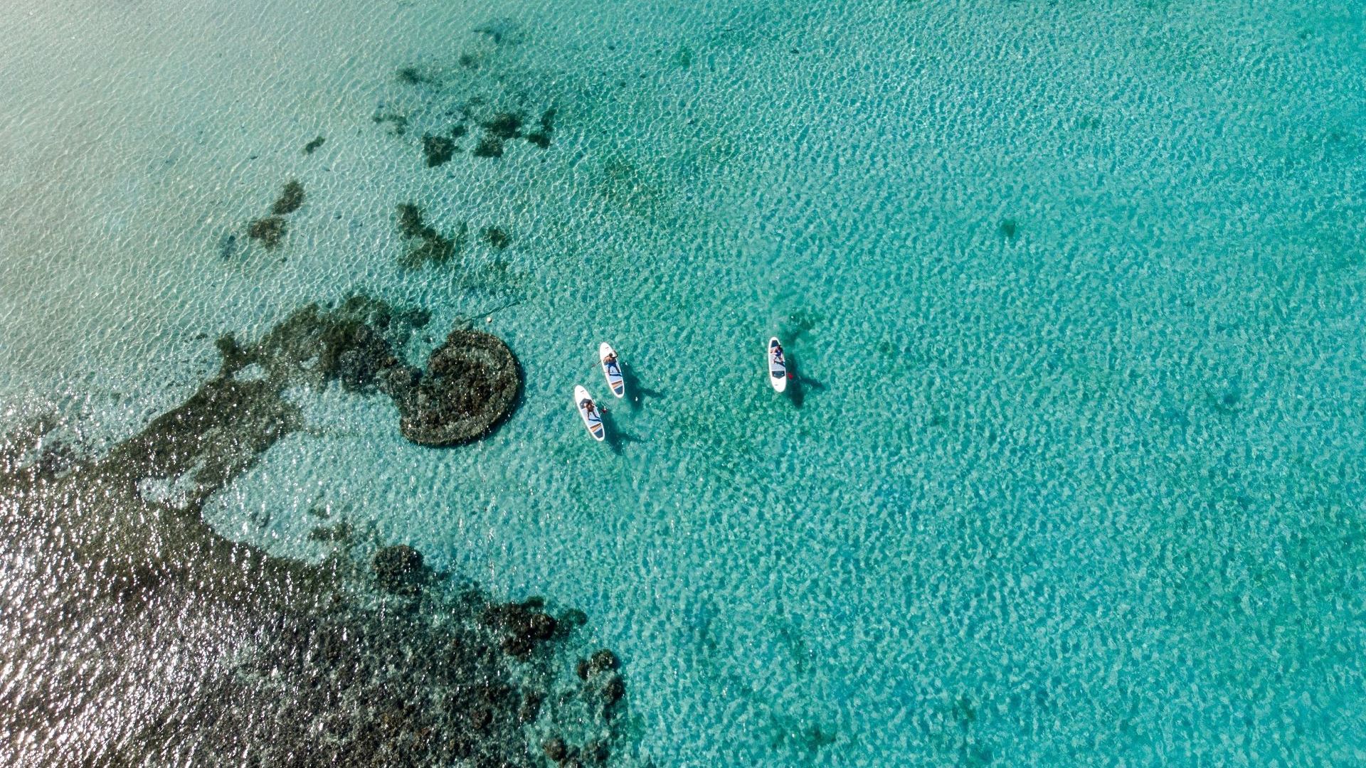 Awesome Adventures - SUP