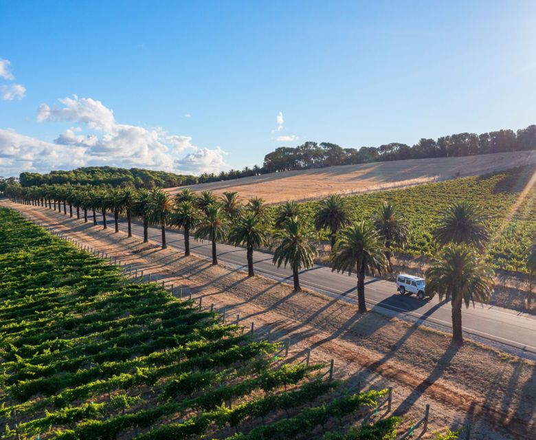 Barossa Two Hands Wines © SATC and Tourism Australia