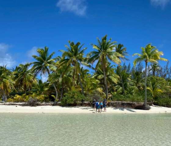 Island with palm trees