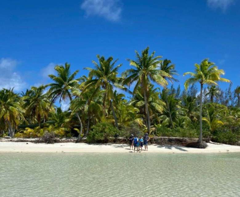 Island with palm trees