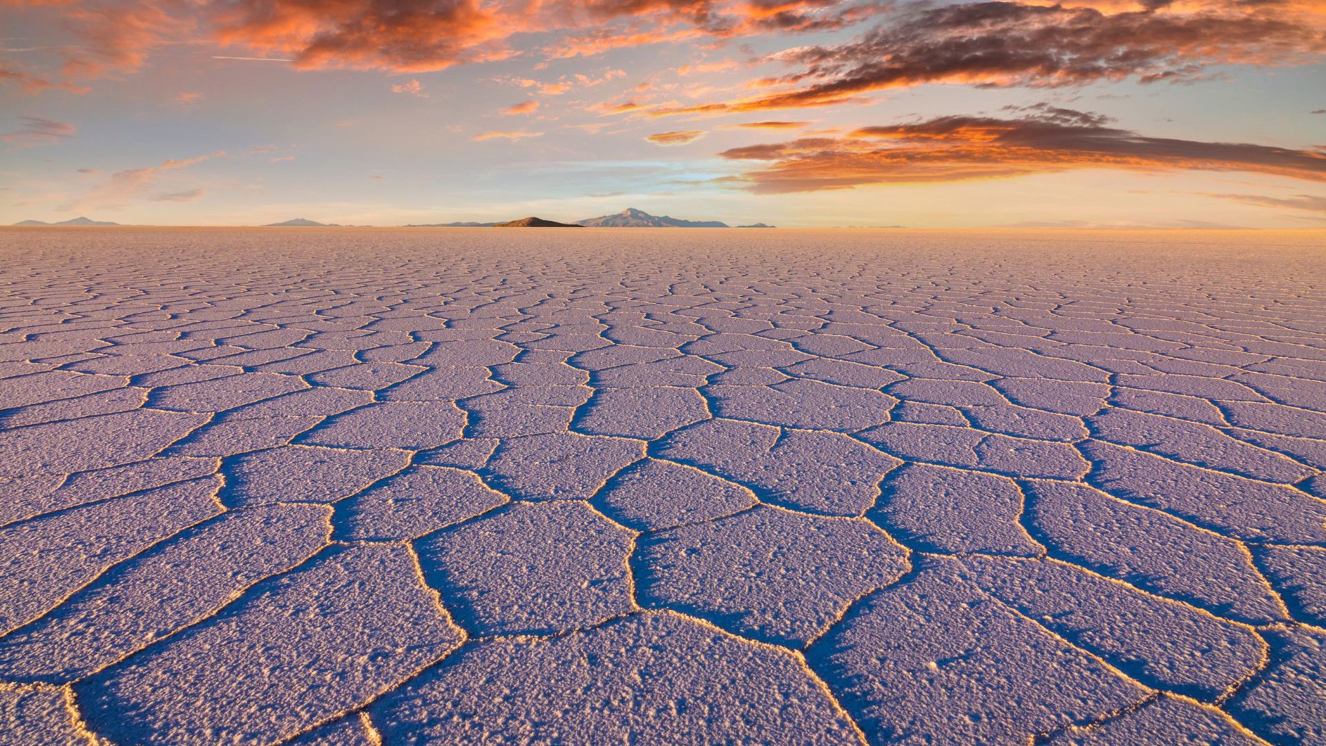 Signature Highlands of the Andes & Salt Flats with Viva Expeditions