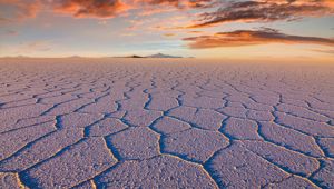 Signature Highlands of the Andes & Salt Flats with Viva Expeditions