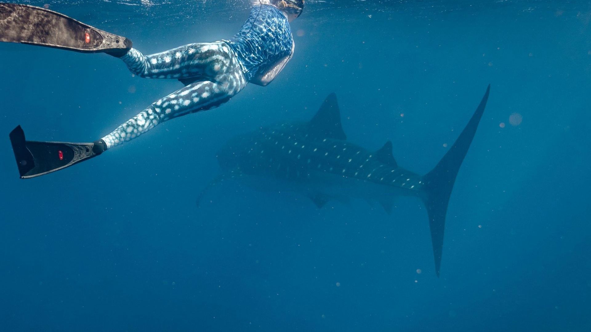 Live Ningaloo Ningaloo 126745 © Tourism WA