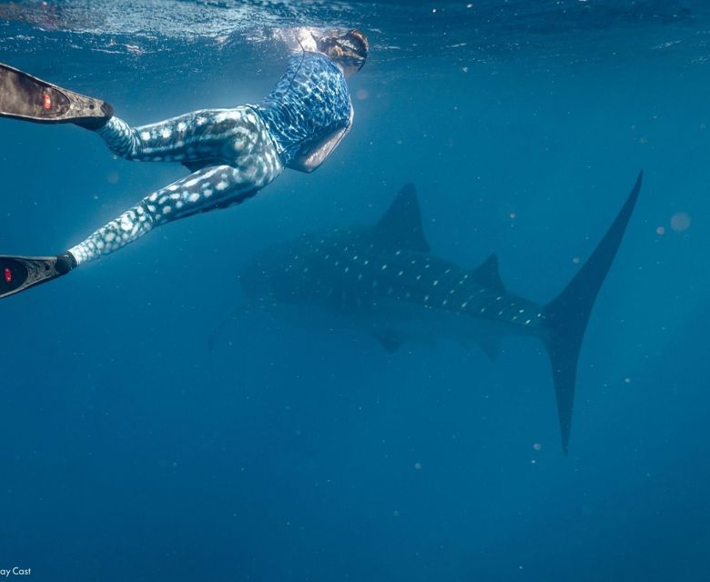 Live Ningaloo Ningaloo 126745 © Tourism WA