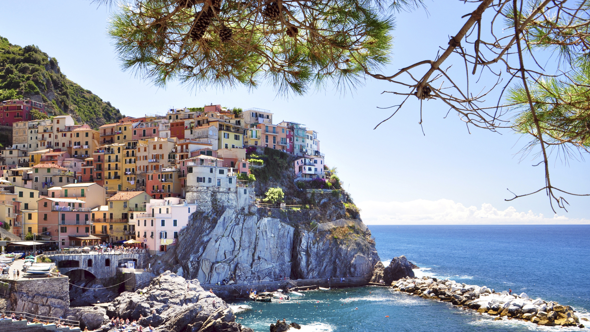 MSC Cinque Terre Manarola