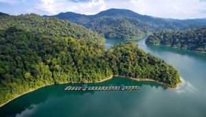 Elephant Hills: Cheow Larn Lake Camp