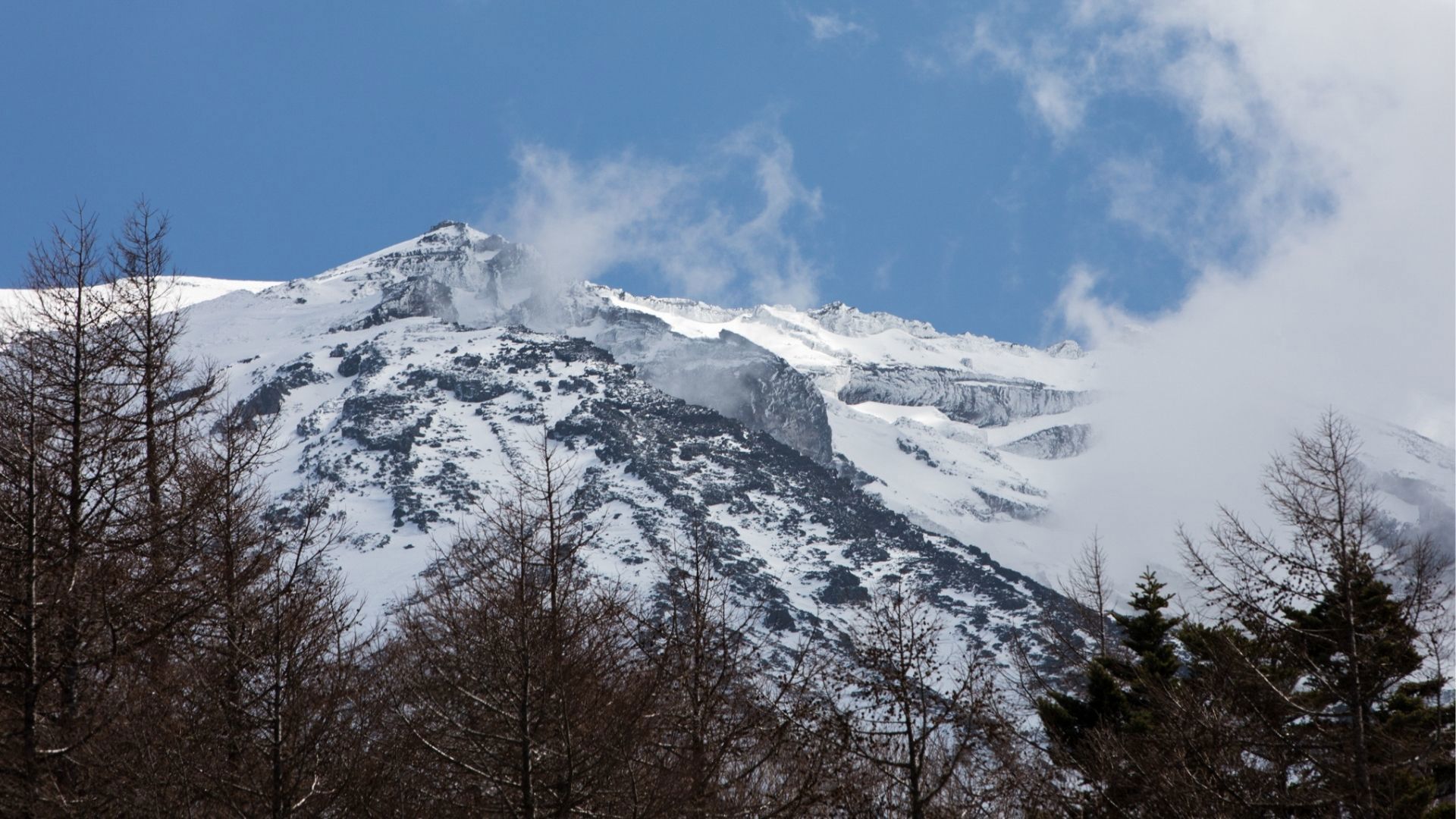 Mt. Fuji