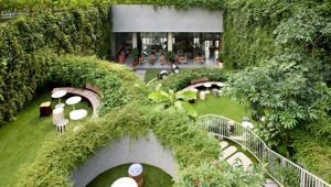 The Standard Singapore  - Garden Area