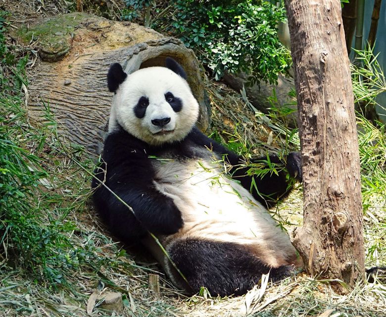 Magnificent China with Wendy Wu Tours