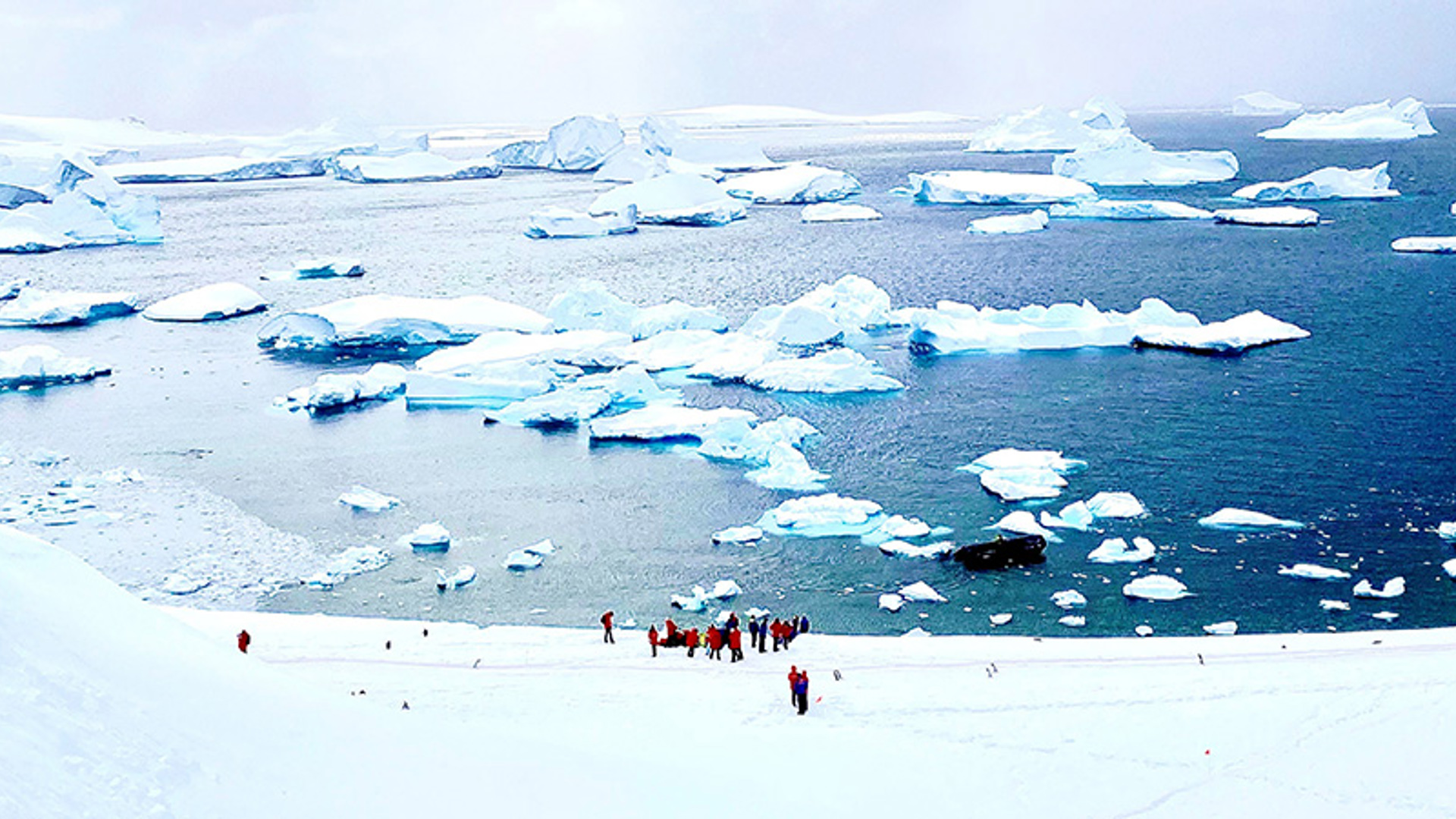 Neko harbour in Antarctica - Image credit: Jeff Leckey