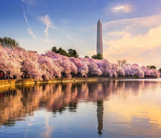 Washington Monument at sunset