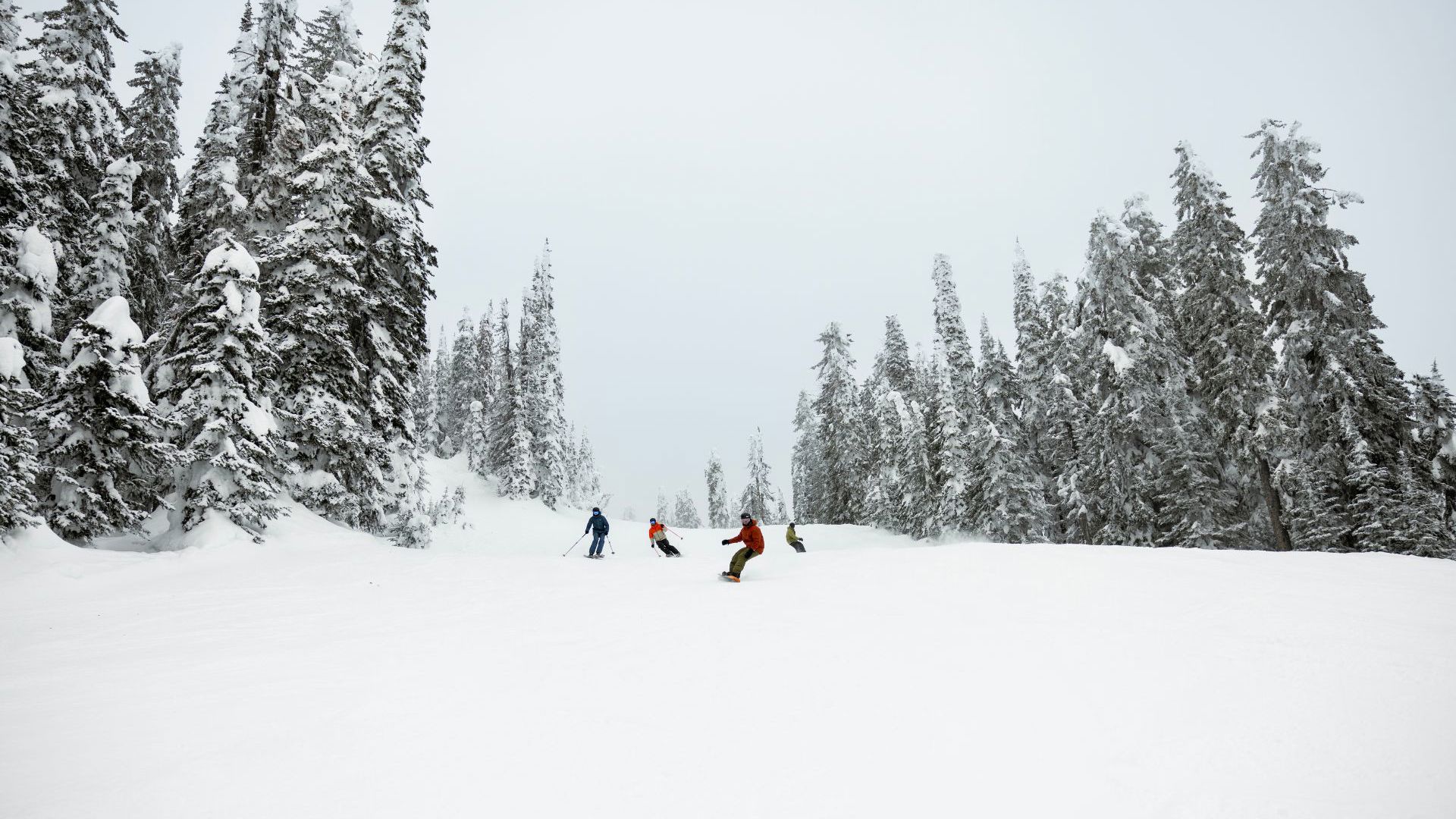 Sliverstar - Travel&CO