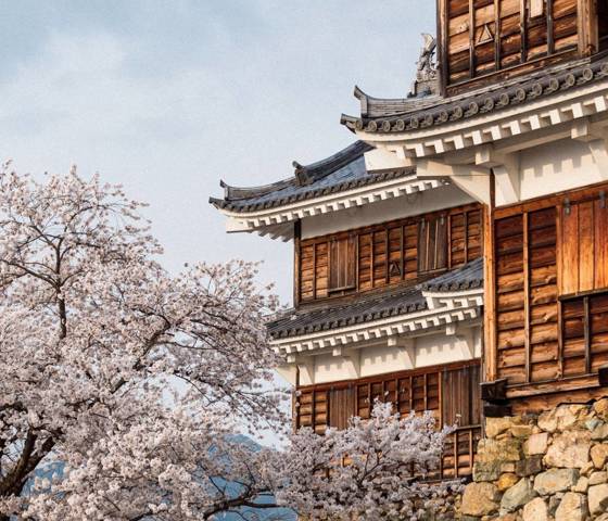 Maizuru Fukuchiyama Castle 