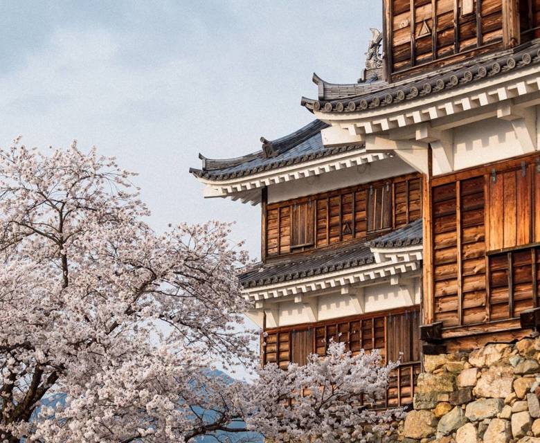 Maizuru Fukuchiyama Castle 
