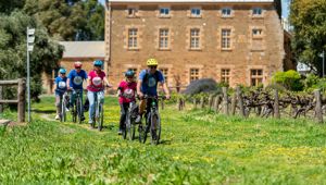 South Australia ABP2617 CR Tour De Vines
