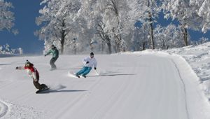 Nozawa Onsen Travel & Co