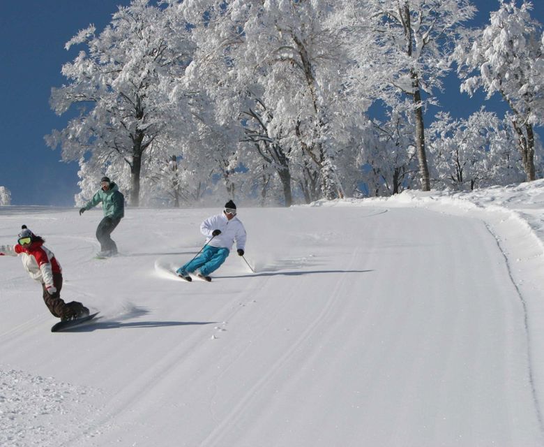 Nozawa Onsen Travel & Co