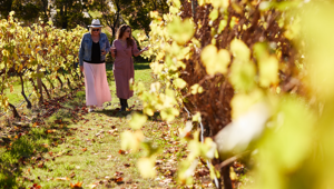 Every Man and His Dog Vineyard CR Tourism Australia