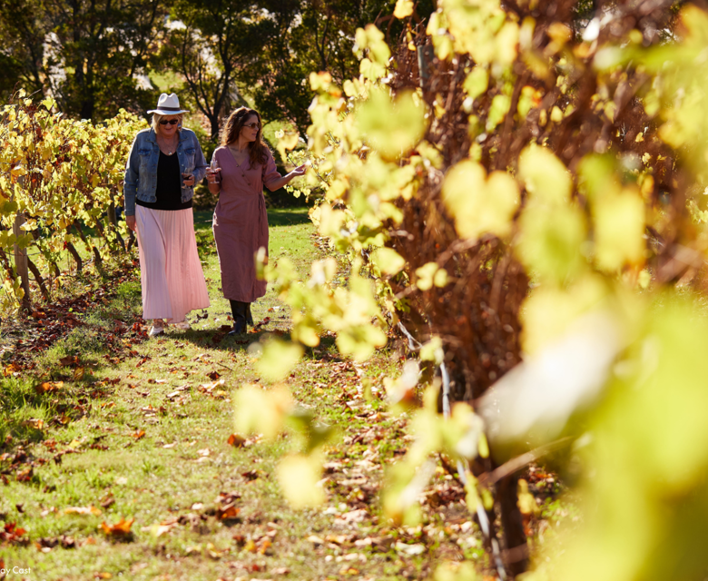Every Man and His Dog Vineyard CR Tourism Australia